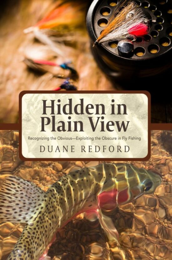 Hidden in Plain View: #1 New Release