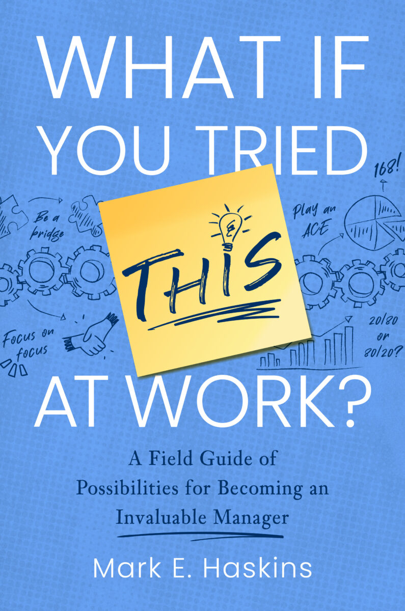 What If You Tried This At Work: A Field Guide of Possibilities for Becoming an Invaluable Manager