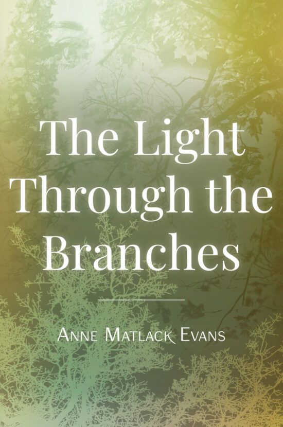 The Light Through the Branches